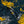 Load image into Gallery viewer, Easy Shorts-Tiger&Dragon-