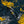 Load image into Gallery viewer, Easy Pants-Tiger&Dragon-