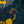 Load image into Gallery viewer, Easy Shorts-Tiger&Dragon-