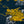Load image into Gallery viewer, Easy Shorts-Tiger&Dragon-
