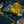 Load image into Gallery viewer, Easy Shorts-Tiger&Dragon-
