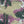 Load image into Gallery viewer, Climbing Shorts-Camo-