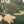 Load image into Gallery viewer, Training Shorts -Camo-