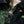 Load image into Gallery viewer, Vietnamase JK -Tiger&Dragon-